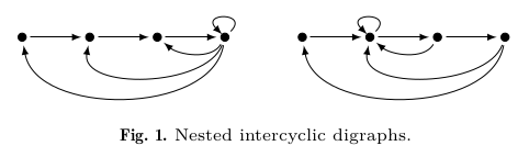 A Figure of nested intercyclic digraphs.